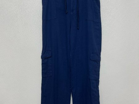 Pants Cargo & Utility By Clothes Mentor In Blue, Size: Xl Online