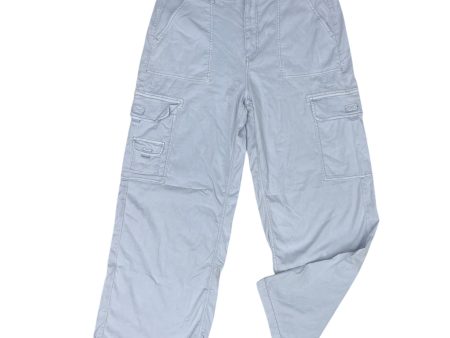 Pants Cargo & Utility By American Eagle In Blue, Size: 14 Hot on Sale