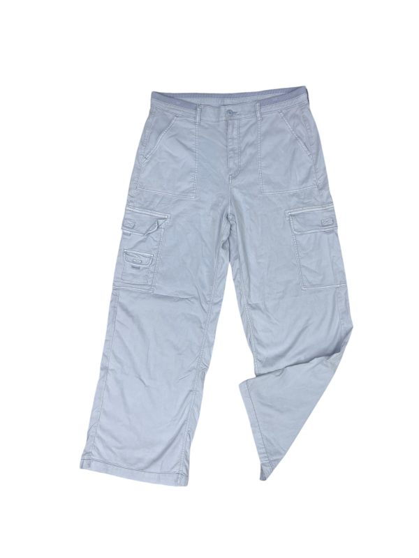 Pants Cargo & Utility By American Eagle In Blue, Size: 14 Hot on Sale