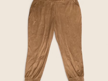 Pants Other By Soft Surroundings In Brown, Size: 2x on Sale