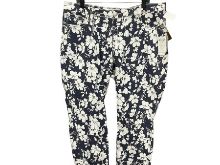 Pants Other By Seven 7 In Blue & White, Size: 20 Hot on Sale