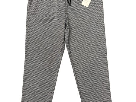 Pants Joggers By A New Day In Brown, Size: 4 Hot on Sale