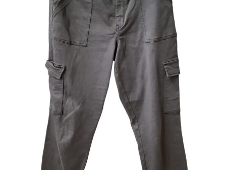 Pants Cargo & Utility By Evereve In Grey, Size: 30 Hot on Sale