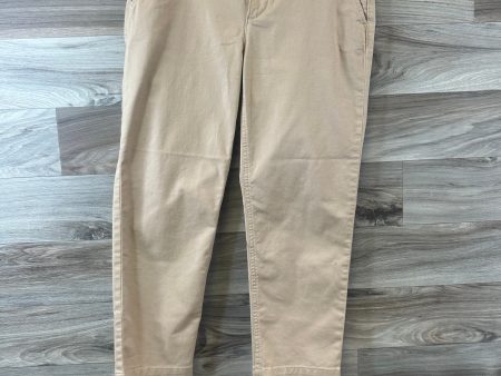 Pants Other By Loft In Tan, Size: 4p For Sale